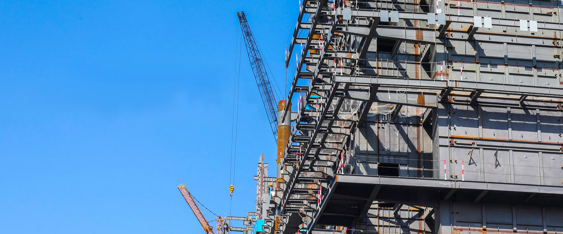 誠(chéng)實(shí)、正直、嚴(yán)謹(jǐn)、可靠